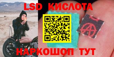 прущие грибы Ленинск-Кузнецкий