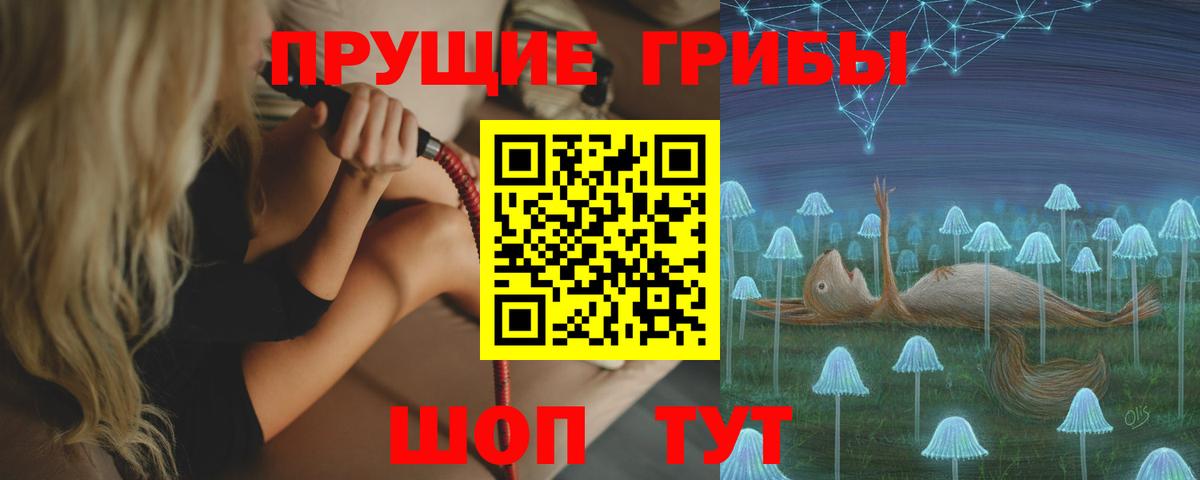 Галлюциногенные грибы Psilocybine cubensis Ижевск